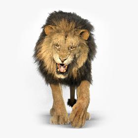 3D Lion ANIMATED RedShift